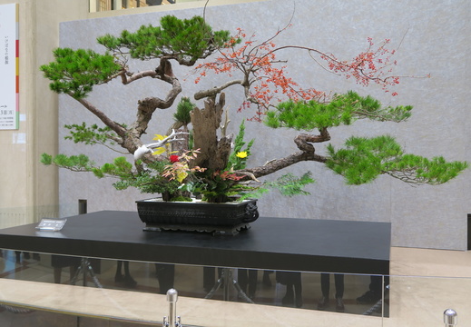 Ikebana exposition, Kyoto