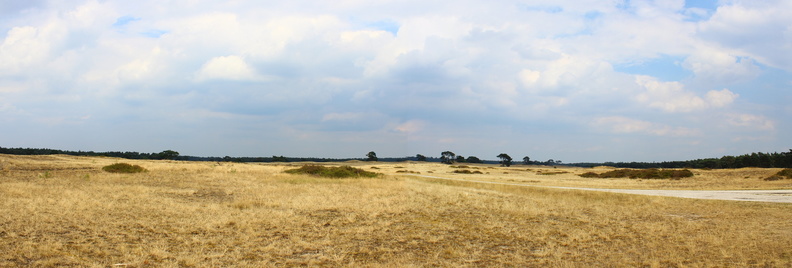 panorama 1.jpg