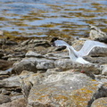 IMG 5597