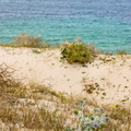 IMG 5624
