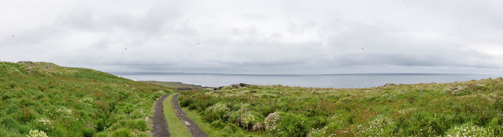 IMG 0933-Panorama