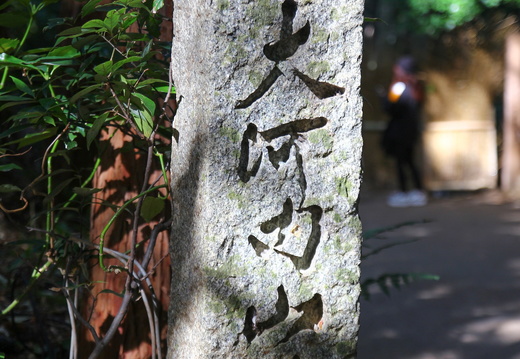 Arashiyama- Okochi Sanso Garden