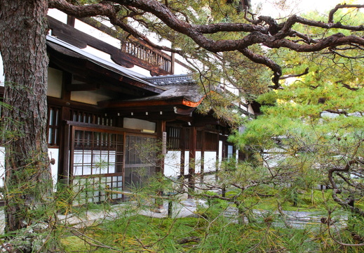 Kyoto- Crane and Turtle Temple